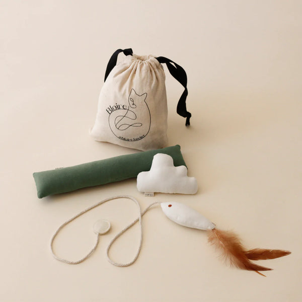 Bloire Cat Toy Bundle