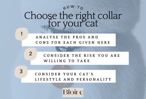 How to Choose the Right collar for your Cat