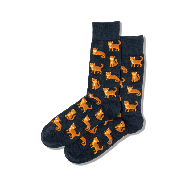 Chat Chaussettes