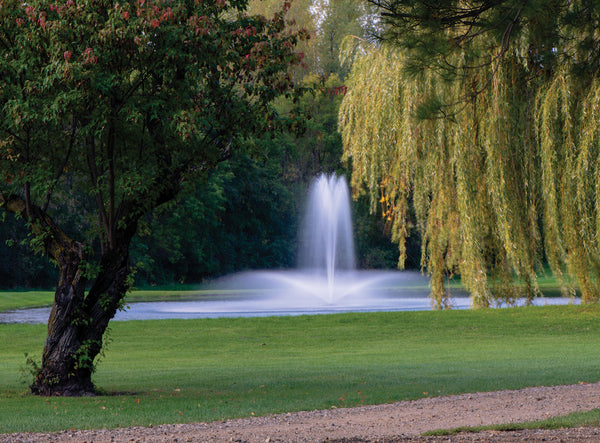 pond fountain spray pattern