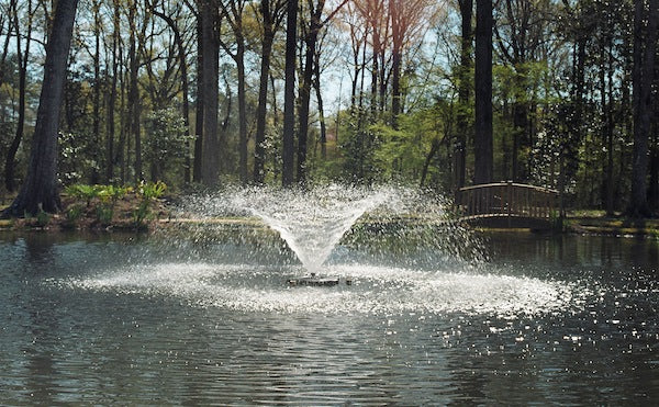 fountain