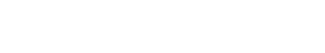 WWWAVskin Logo