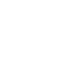 The Range Hood Store logo