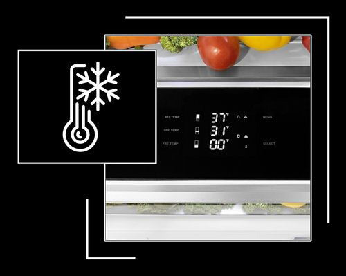 Icon and image representing adjustable freezer and refrigerator temperatures