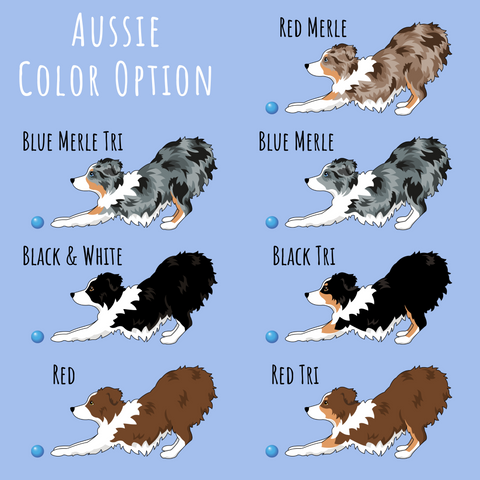 australian shepherd color option