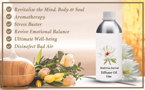 Benefits of brahma kamal diffuser oil