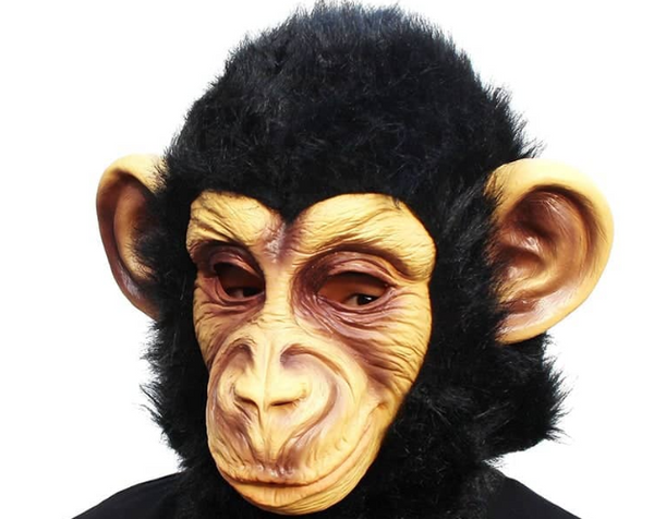 Choose the one-of-a-kind monkey head mask for Halloween from CreepyParty