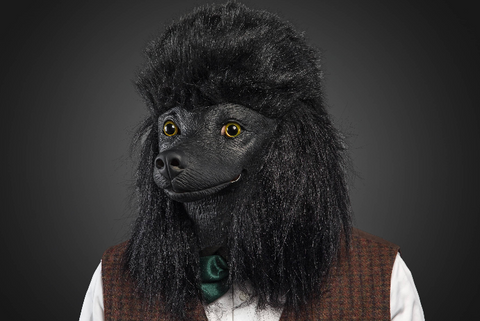 Obtain realistic, and hilarious designs of masks using 100% natural rubber latex
