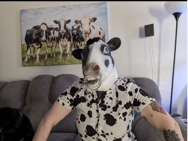 CreepyParty Funny Masquerade for Cow Masks