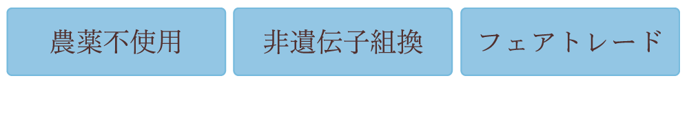 モリンガ茶 効果　モリンガ 育て方　モリンガ 副作用　モリンガパウダー　モリンガ茶　モリンガ 効果　モリンガ 白髪　モリンガクレンズ　モリンガ　モリンガ蒸し　オーガニックモリンガ　フェアトレード　サスティナブル　Girls, be Ambitious イロコスモリンガ　フィリピン産モリンガ