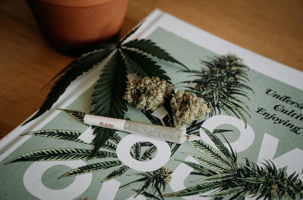 Raw cannabis on a book