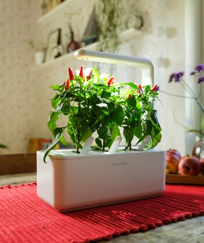 Click & Grow Smart Garden 3 on a dining room table.