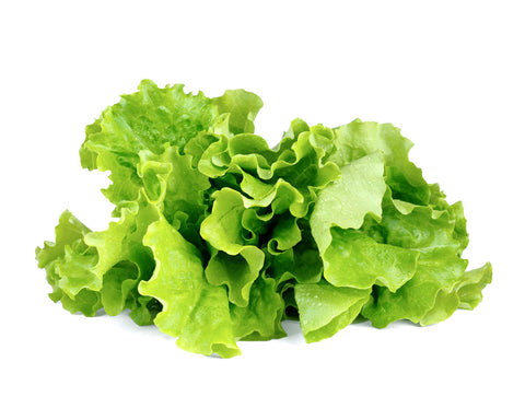 Click & Grow Green Lettuce on a white backdrop.