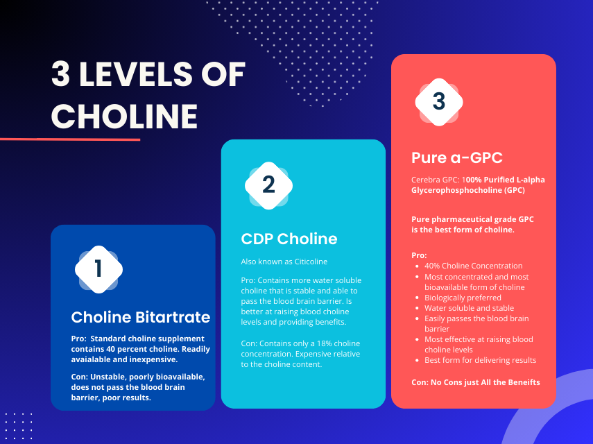 3 Three Levels of Choline.png__PID:33dc6b51-935a-4bf2-9553-ee1bd8bdfbf3