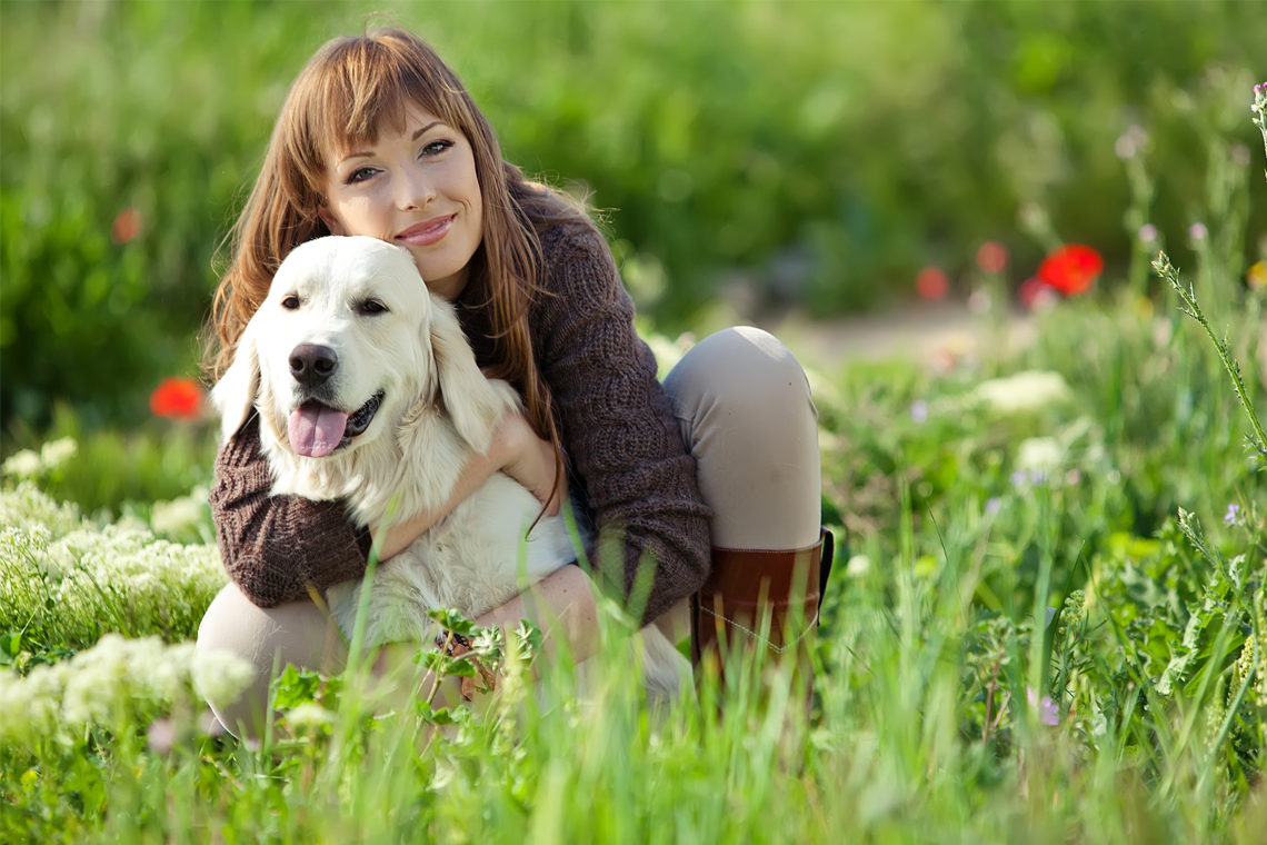 Pet Liver Health_Vet Dog Female in Field_Background_Shopify_Pagefly.png__PID:d8b538db-8dbe-4a96-aa35-ae98bb279014