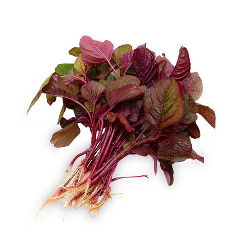 Amaranthus Red Lal Muth