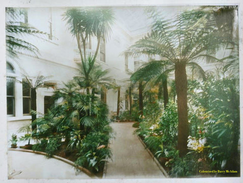 Palm Garden