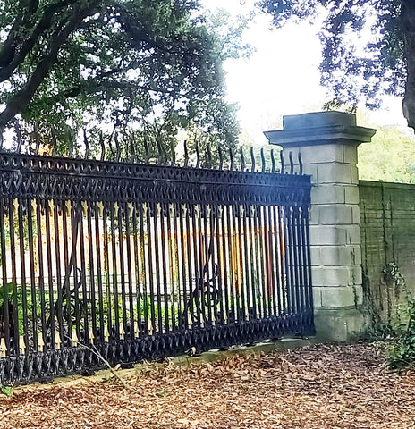 Railings at the physic garden