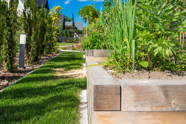 kim gardens grow at roof top