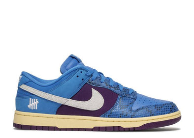 Nike dunk low blue and purple