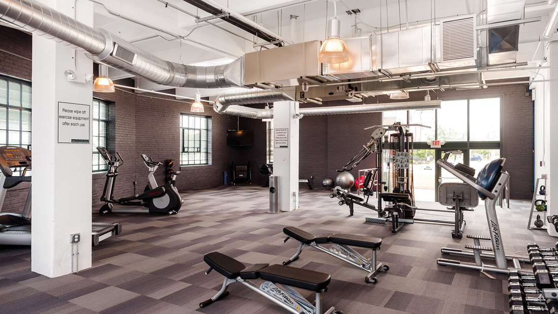 Junk Fitness - sunlit gym floor full of exercise machines