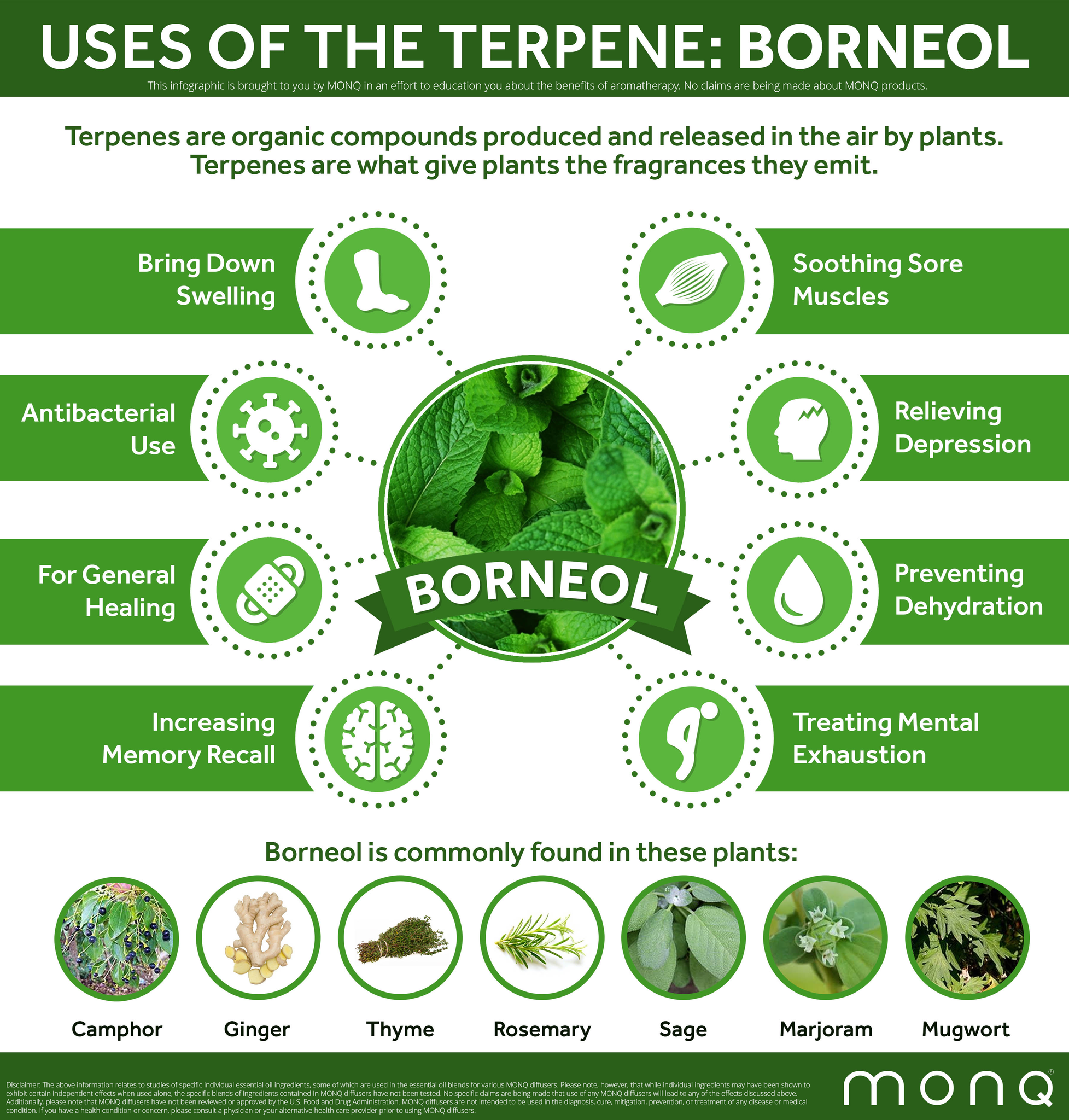 Borneol Terpene