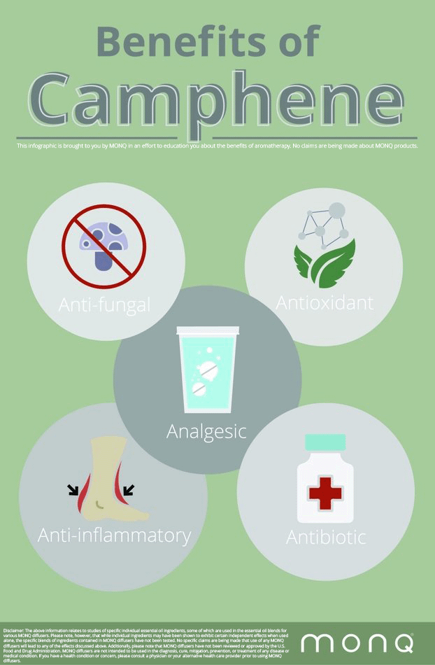 Camphene Benefits