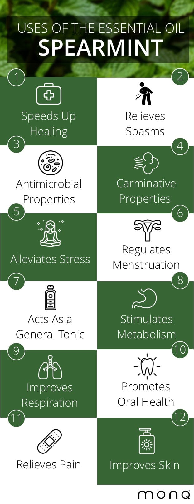 Spearmint_Essential_Oil Infographic