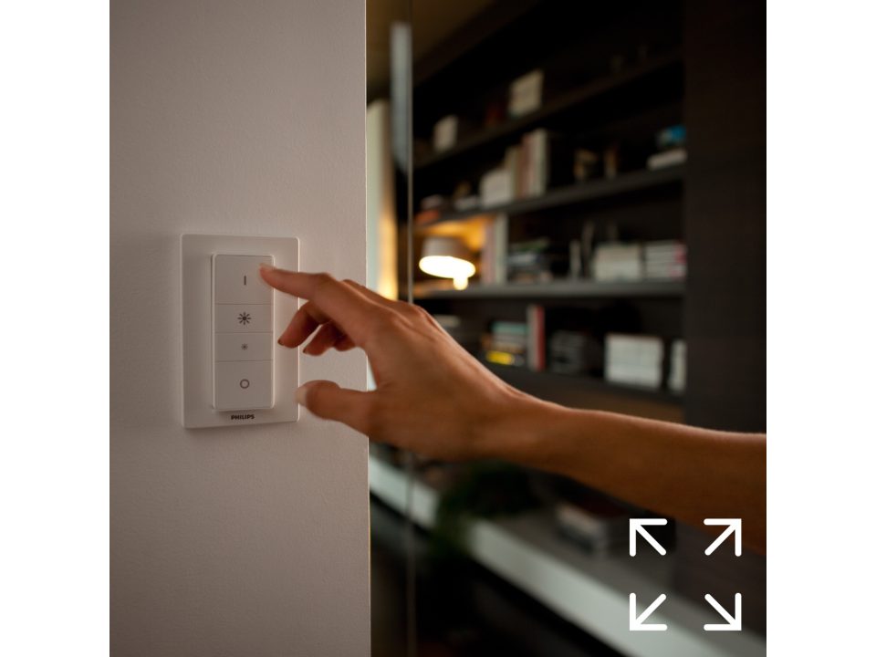 philips hue battery light