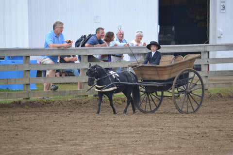 driving pony