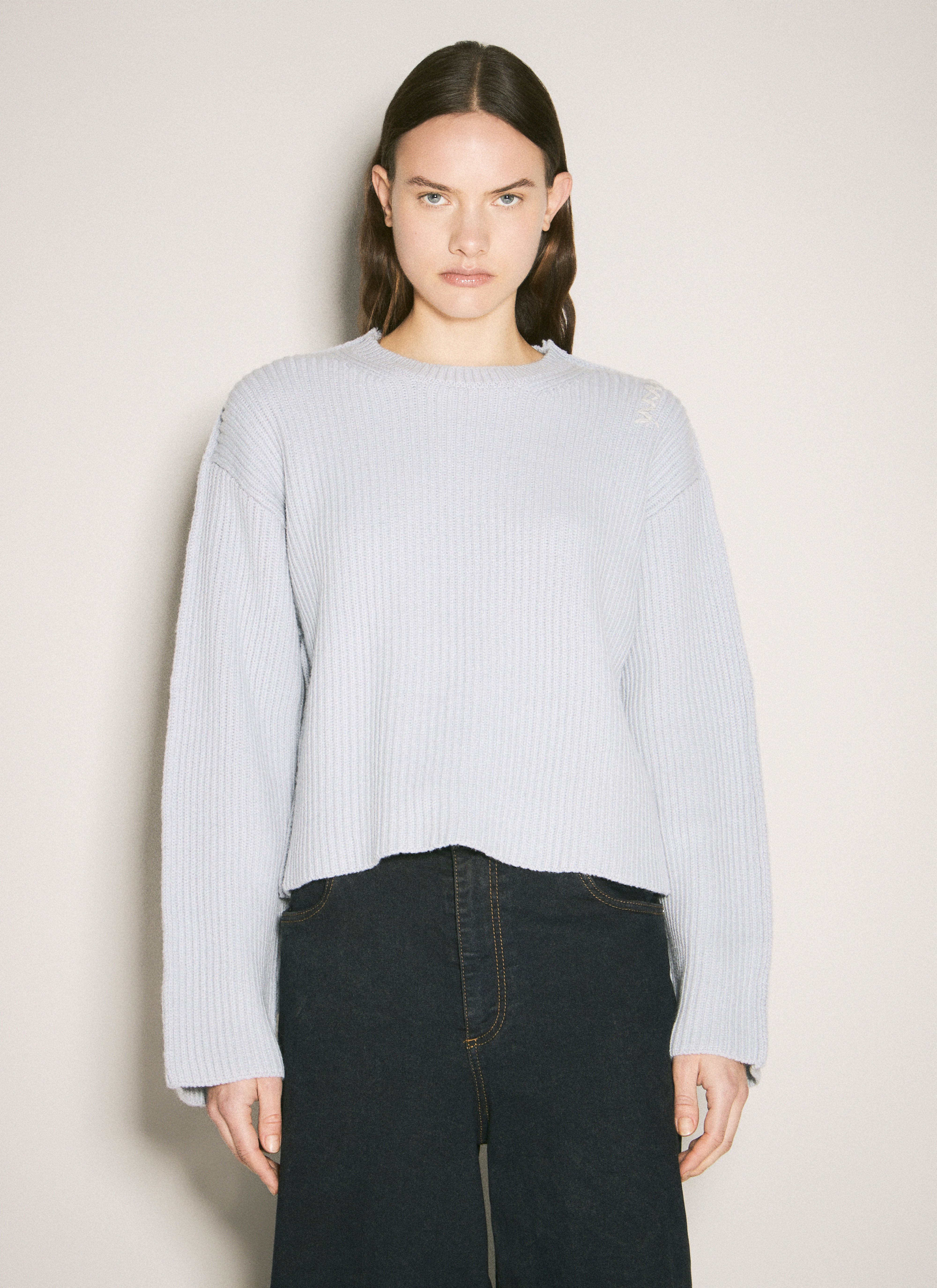 Marni Women Crewneck Wool Sweater In Gray