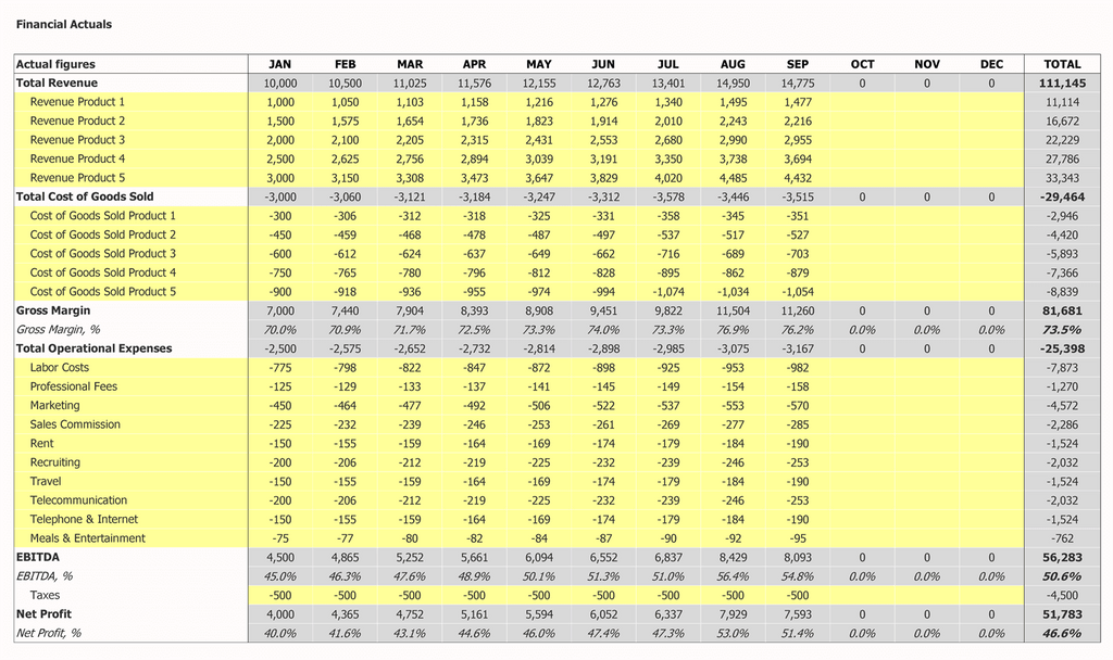 Budget to Actual Template Actuals Inputs