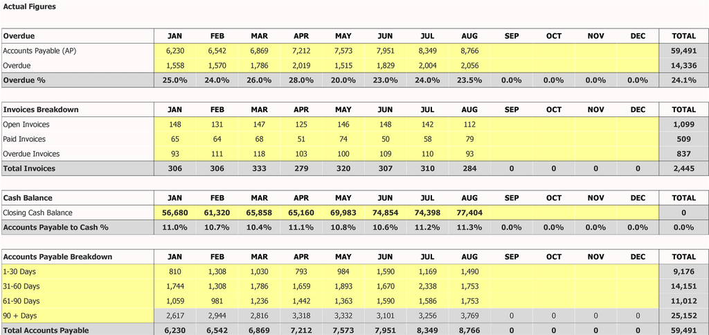 Accounts Payable Dashboard Inputs