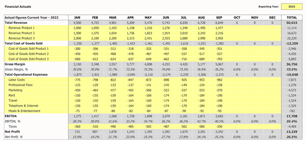 Performance Dashboard Excel tatsächliche aktuelle Jahr