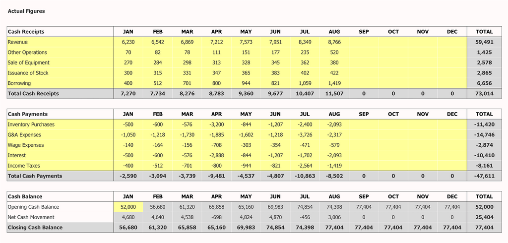 Cashflow Dashboard Tatsächliche Eingaben