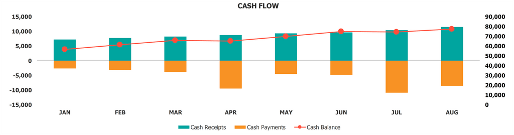 Cash Management Dashboard Cash Flow Diagramm für Monat