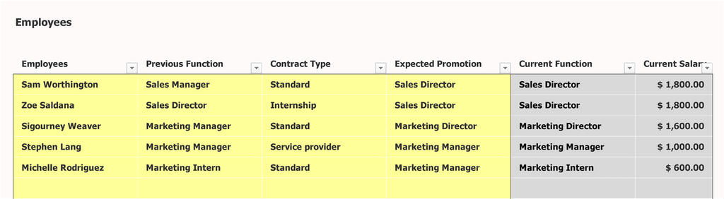 Compensation Plan Template Excel Employees Inputs