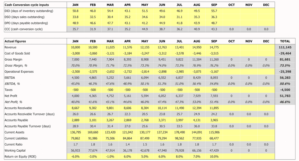 Financial Dashboard Actuals