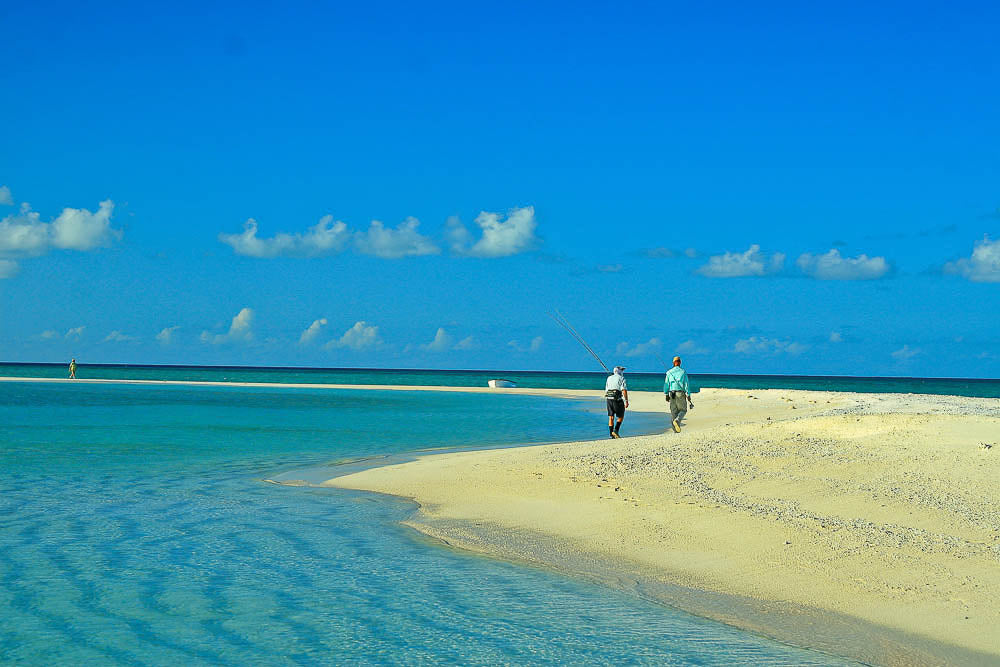  St. Brandon's Atoll 