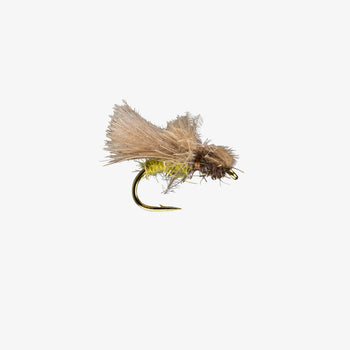 Crushed a size 18 caddis emerger, and put up a solid fight on my 5wt.  16.5”, Battenkill River, NY : r/flyfishing