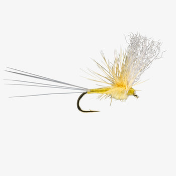 Feeder Creek Sparkle Dun Mayfly, 12 Fly Fishing India