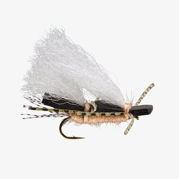 The Fly Fishing Place Bead Head Rainbow Warrior Midge One Dozen - Silver  Bead - 12 Flies Size 14 - Tailwater Fly Fishing Flies, Wet Flies -   Canada