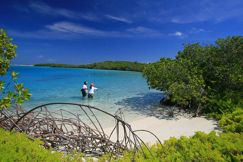  Los Roques 