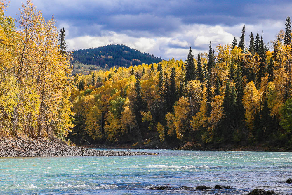  Frontier Steelhead Experience 