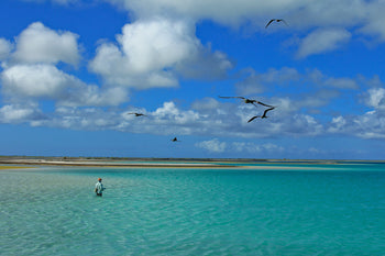 Fly Fishing Christmas Island - Christmas Island Lodges