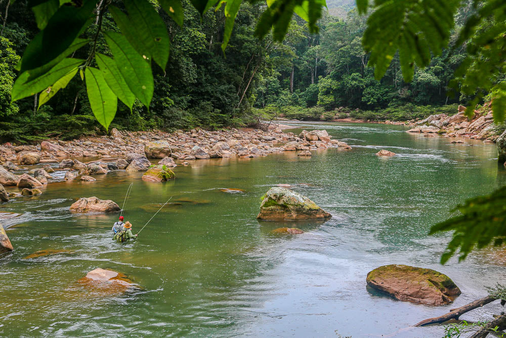  Tsimane - Pluma Lodge 