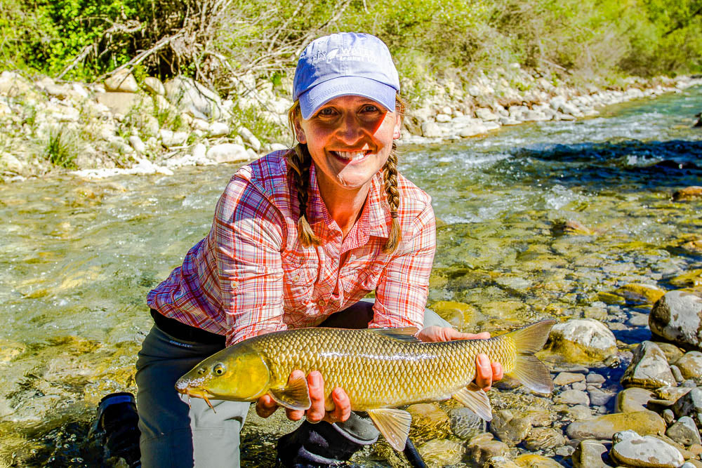 5 Summer barbel fishing tips