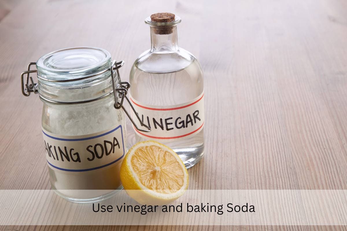 vinigar baking soda and lemon to keep a dishwasher fresh