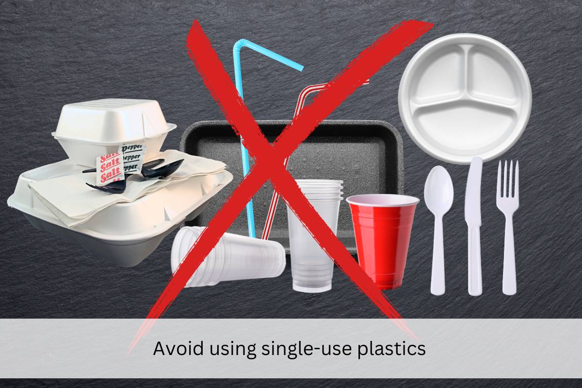 avoid single use plastics