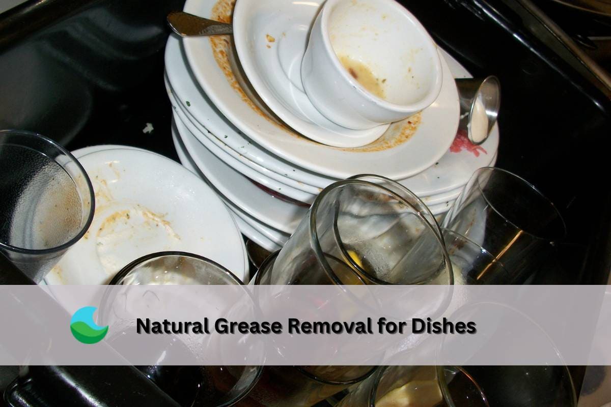 natural grease removal from dishes